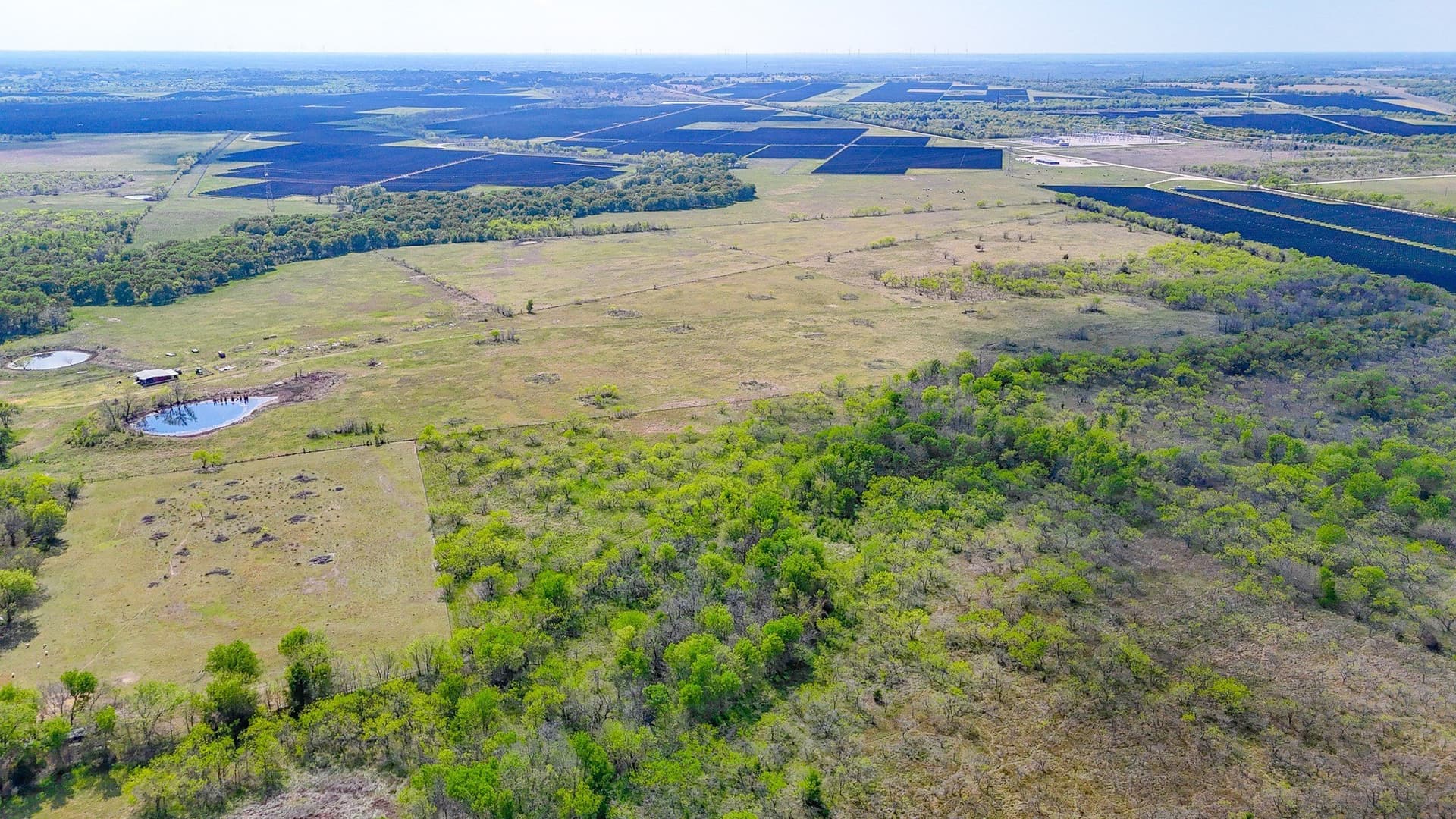 80.55 acres in Navarro County - photo 4