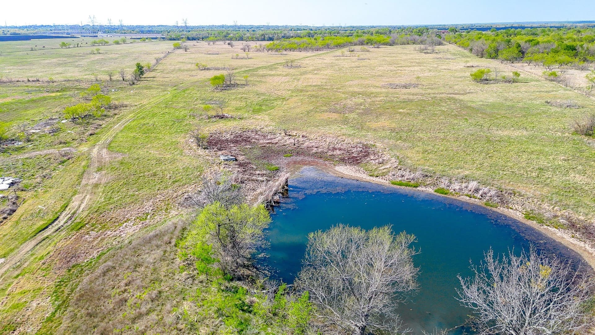 80.55 acres in Navarro County - photo 29