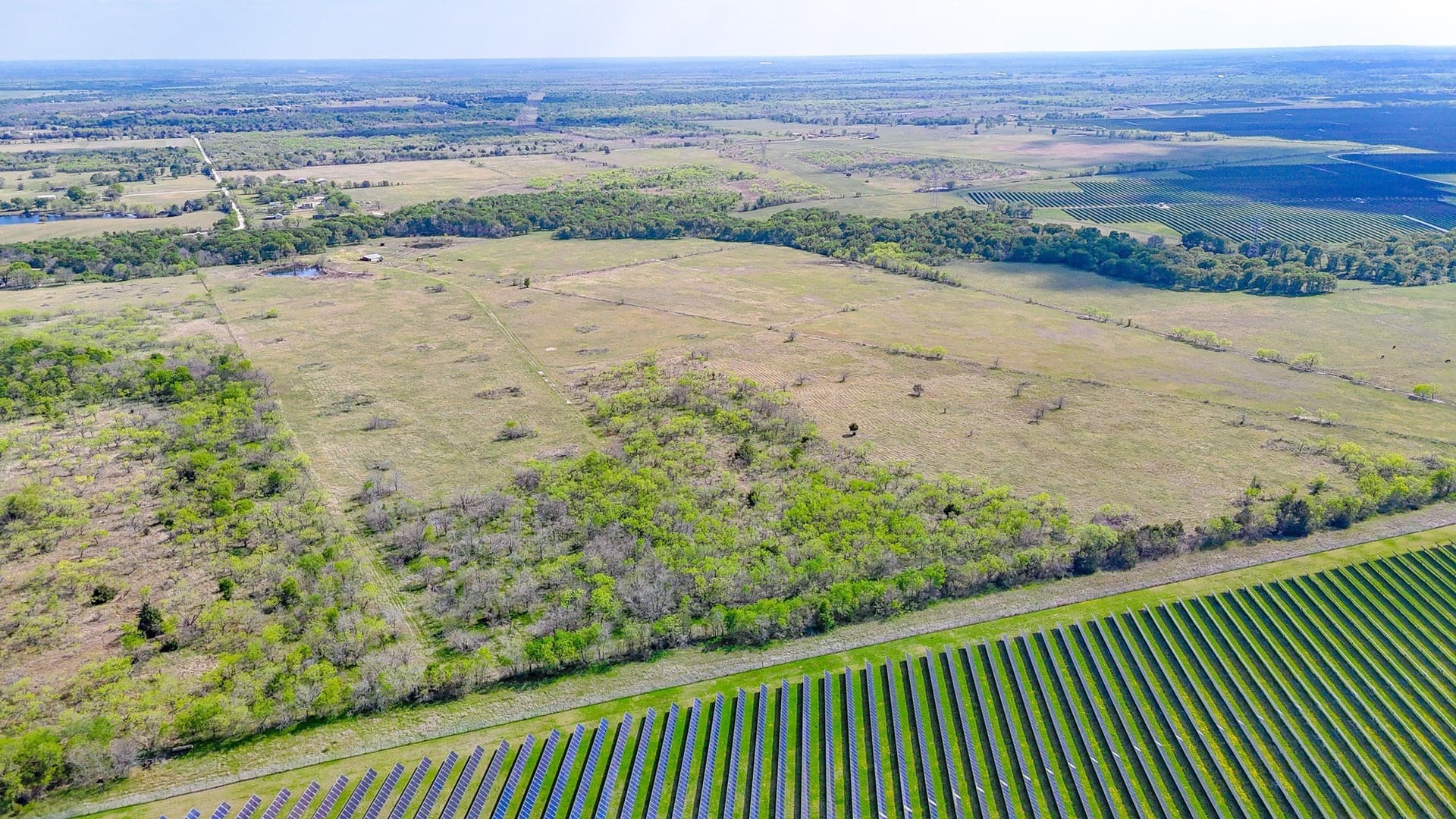 80.55 acres in Navarro County - photo 9