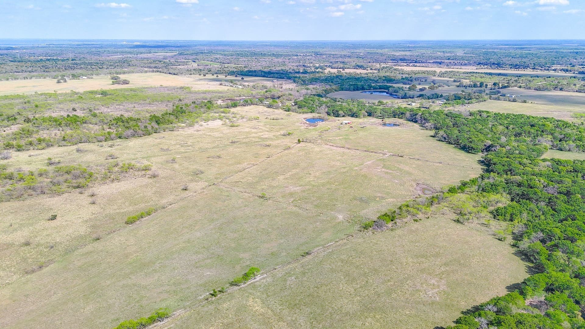 80.55 acres in Navarro County - photo 12