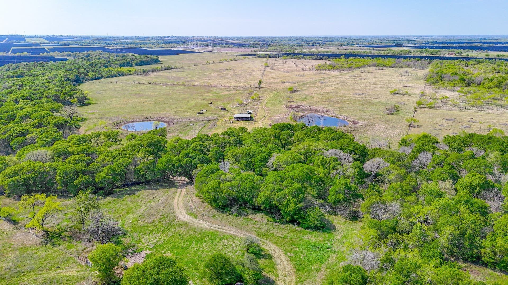 80.55 acres in Navarro County - photo 22
