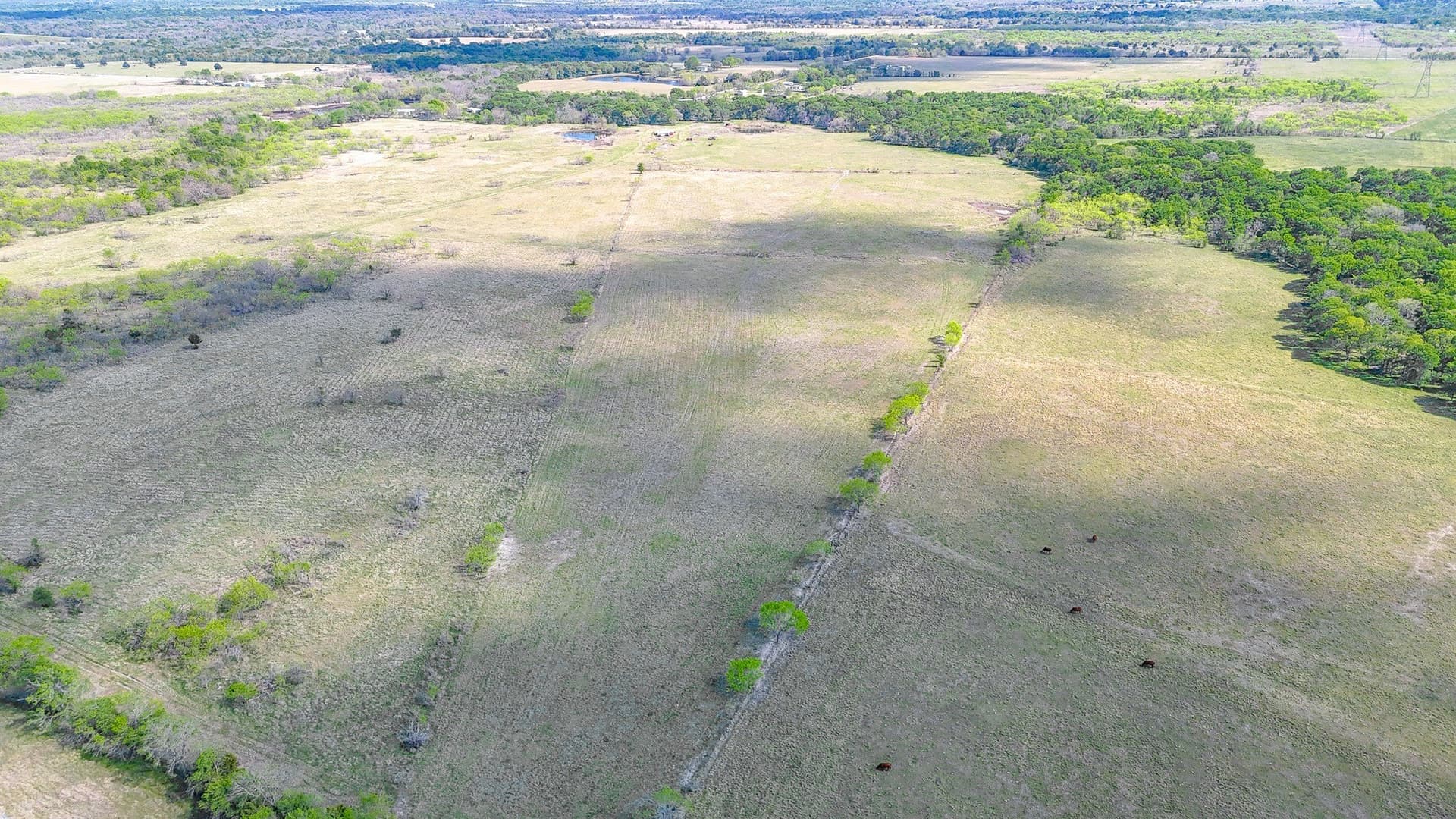80.55 acres in Navarro County - photo 11