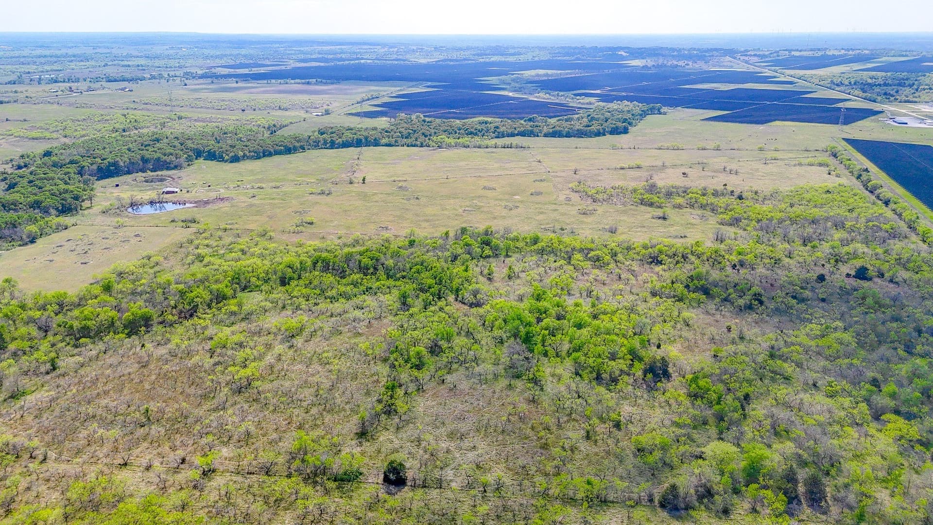 80.55 acres in Navarro County - photo 6