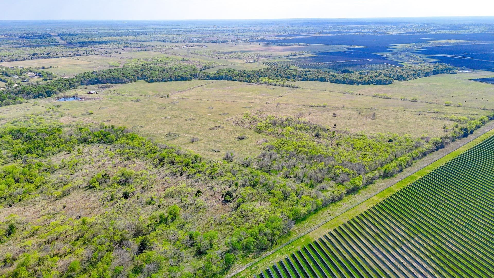 80.55 acres in Navarro County - photo 8