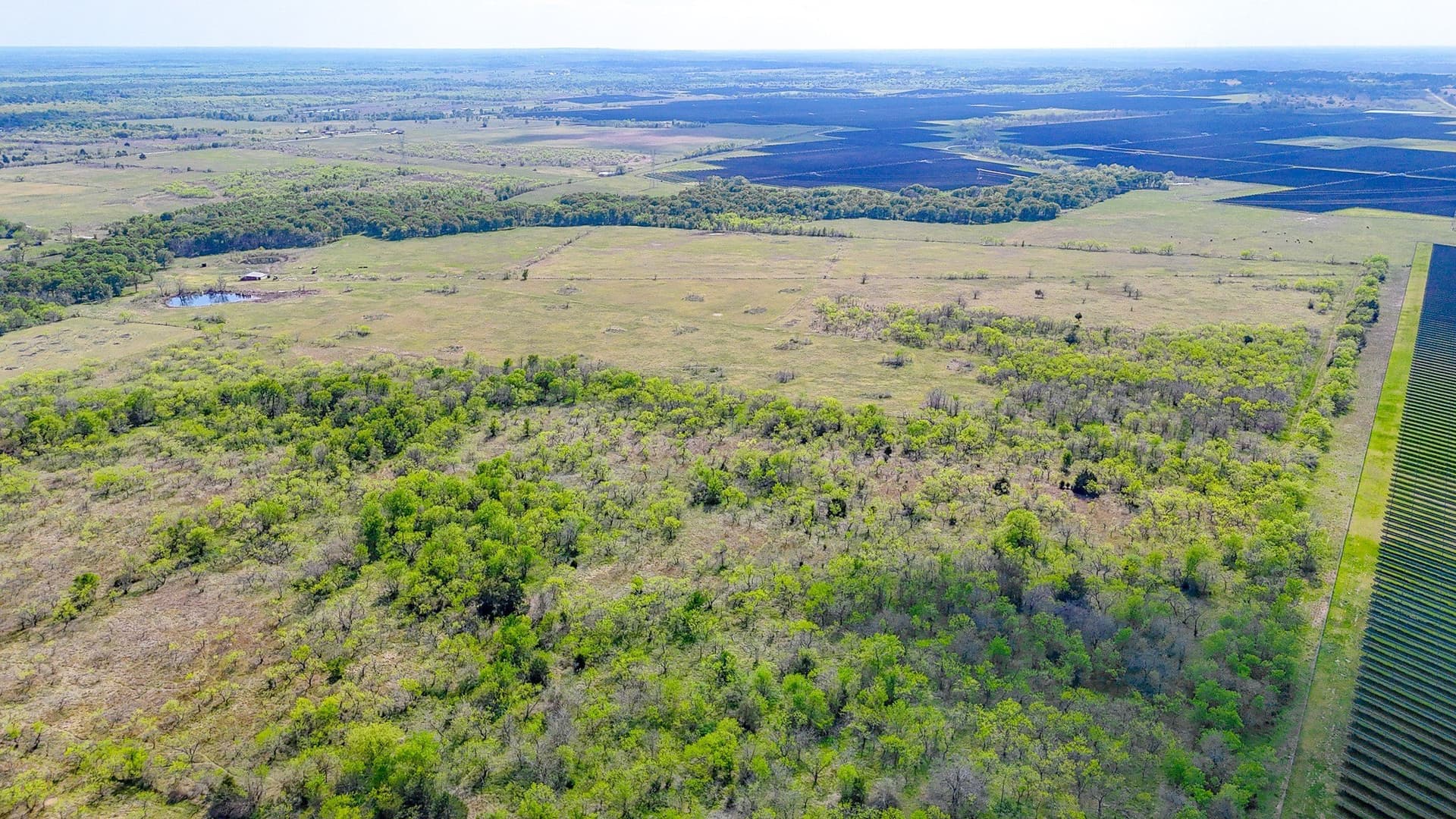 80.55 acres in Navarro County - photo 7