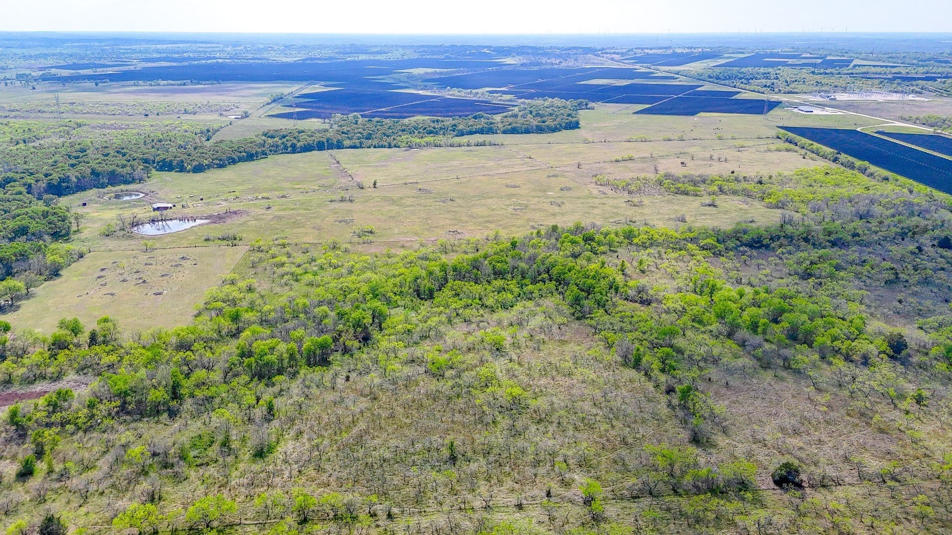 80.55 acres in Navarro County - photo 5