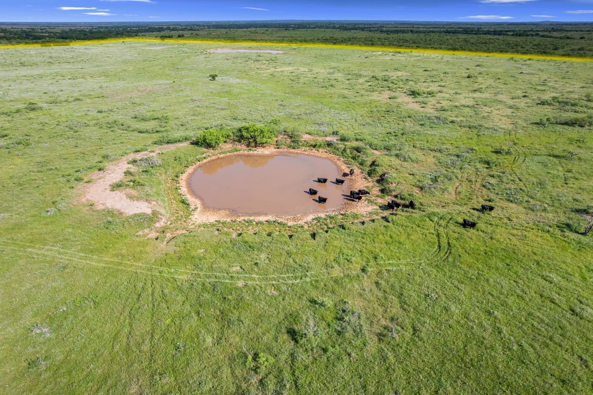 171.2 acres in Montague County - photo 10