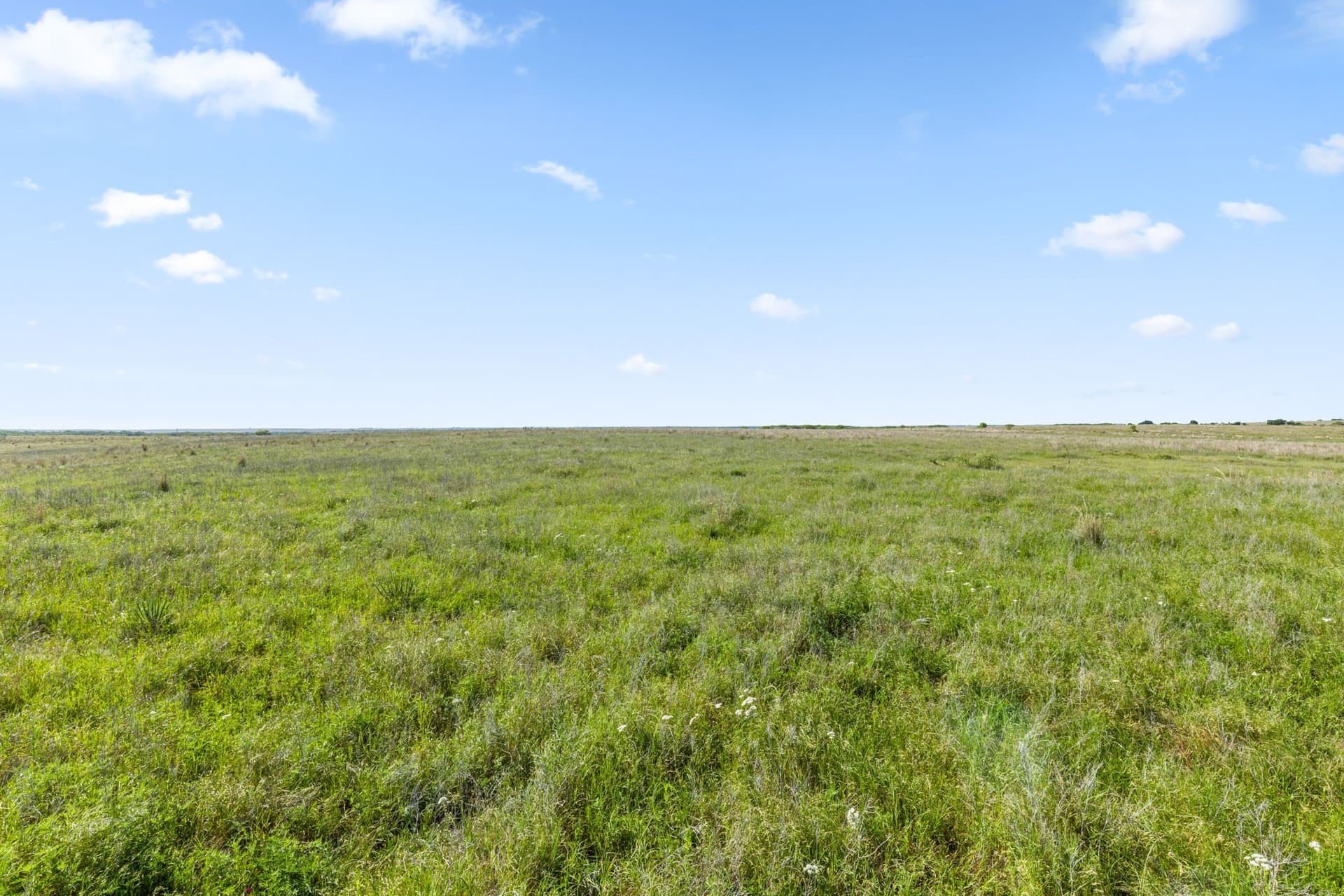 171.2 acres in Montague County - photo 8