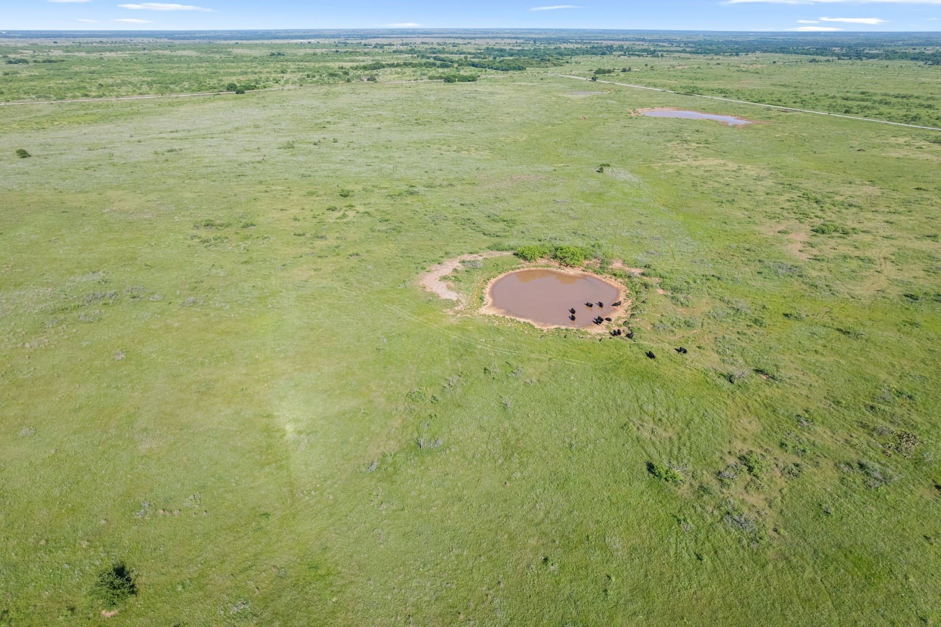 171.2 acres in Montague County - photo 11