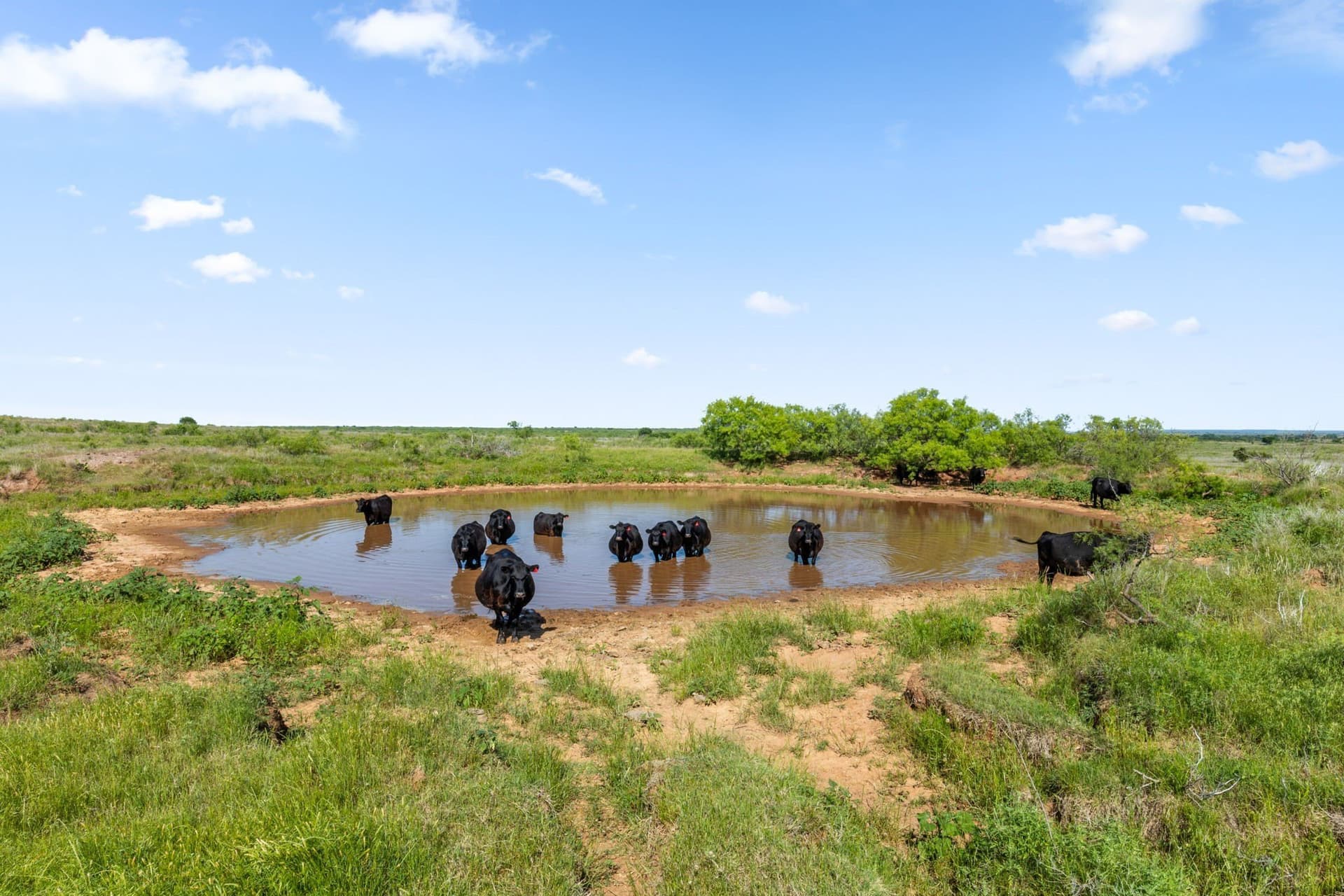 171.2 acres in Montague County - photo 3