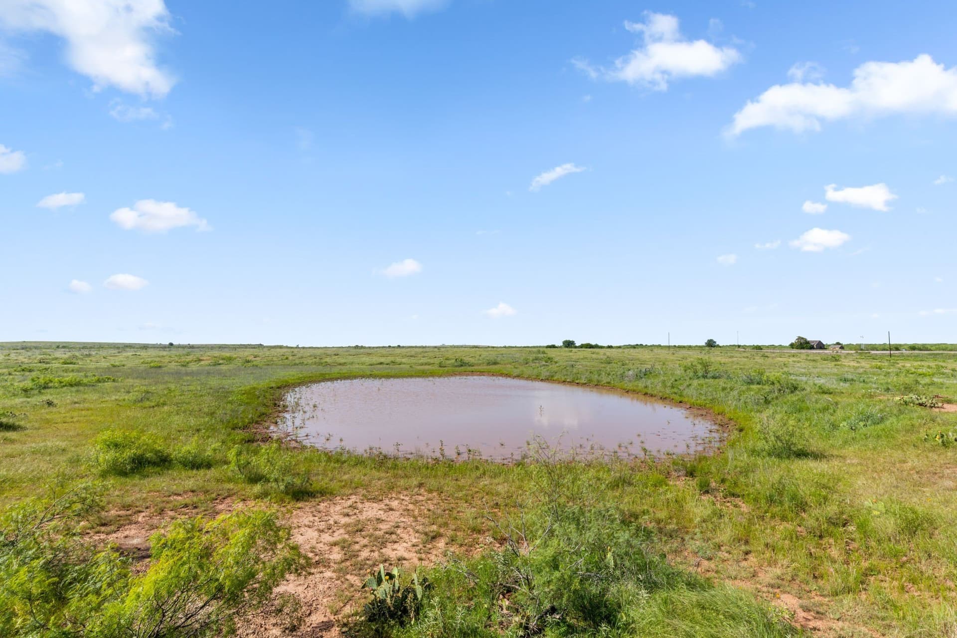 171.2 acres in Montague County - photo 5