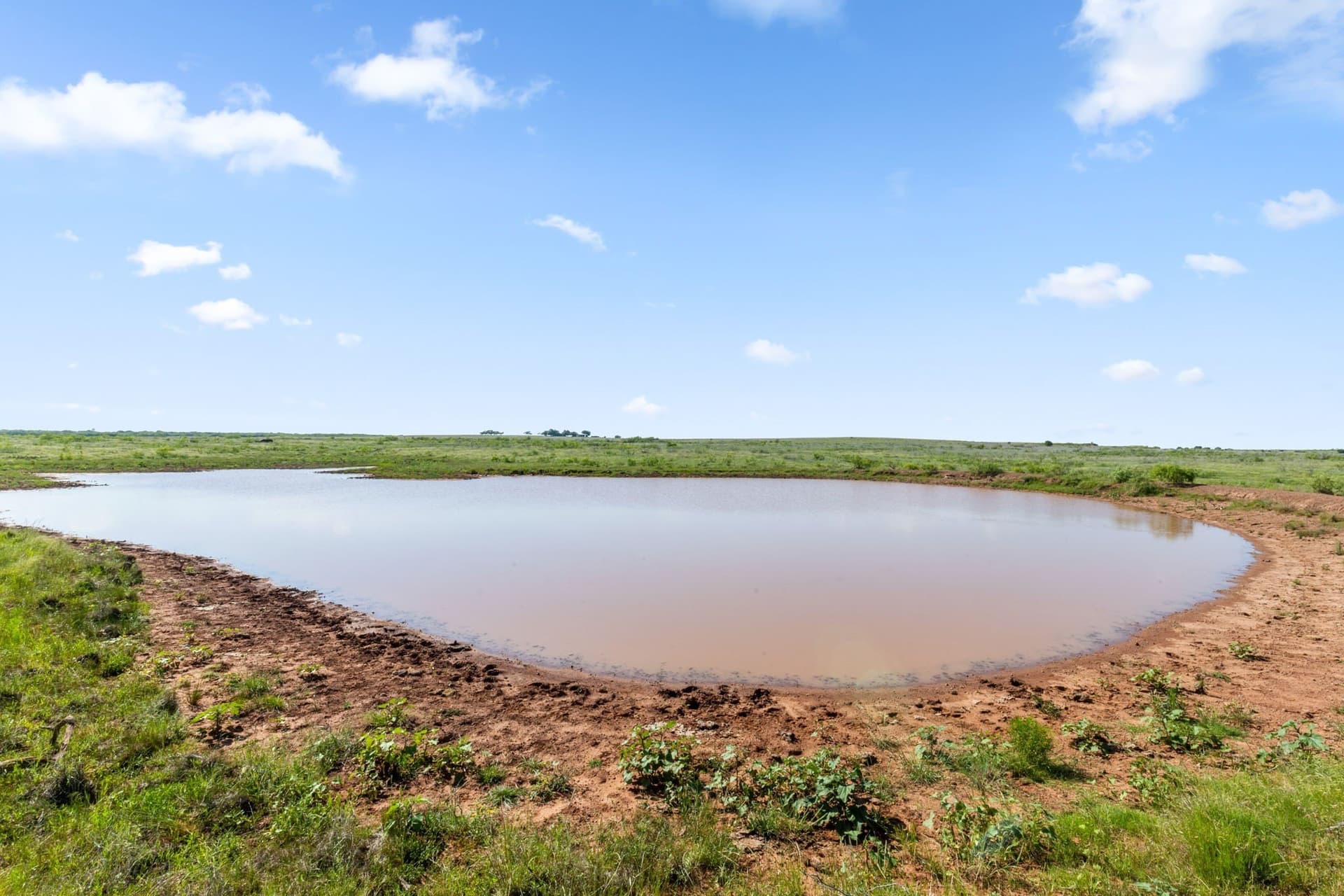 171.2 acres in Montague County - photo 6