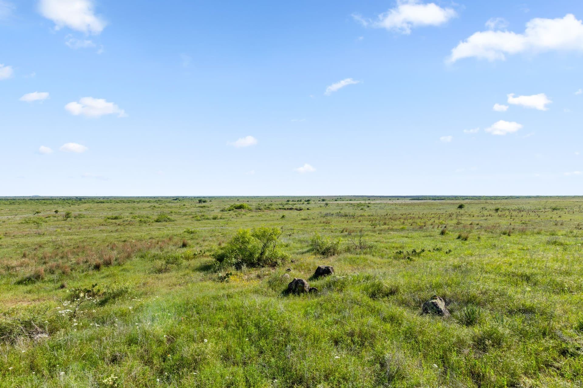 171.2 acres in Montague County - photo 7