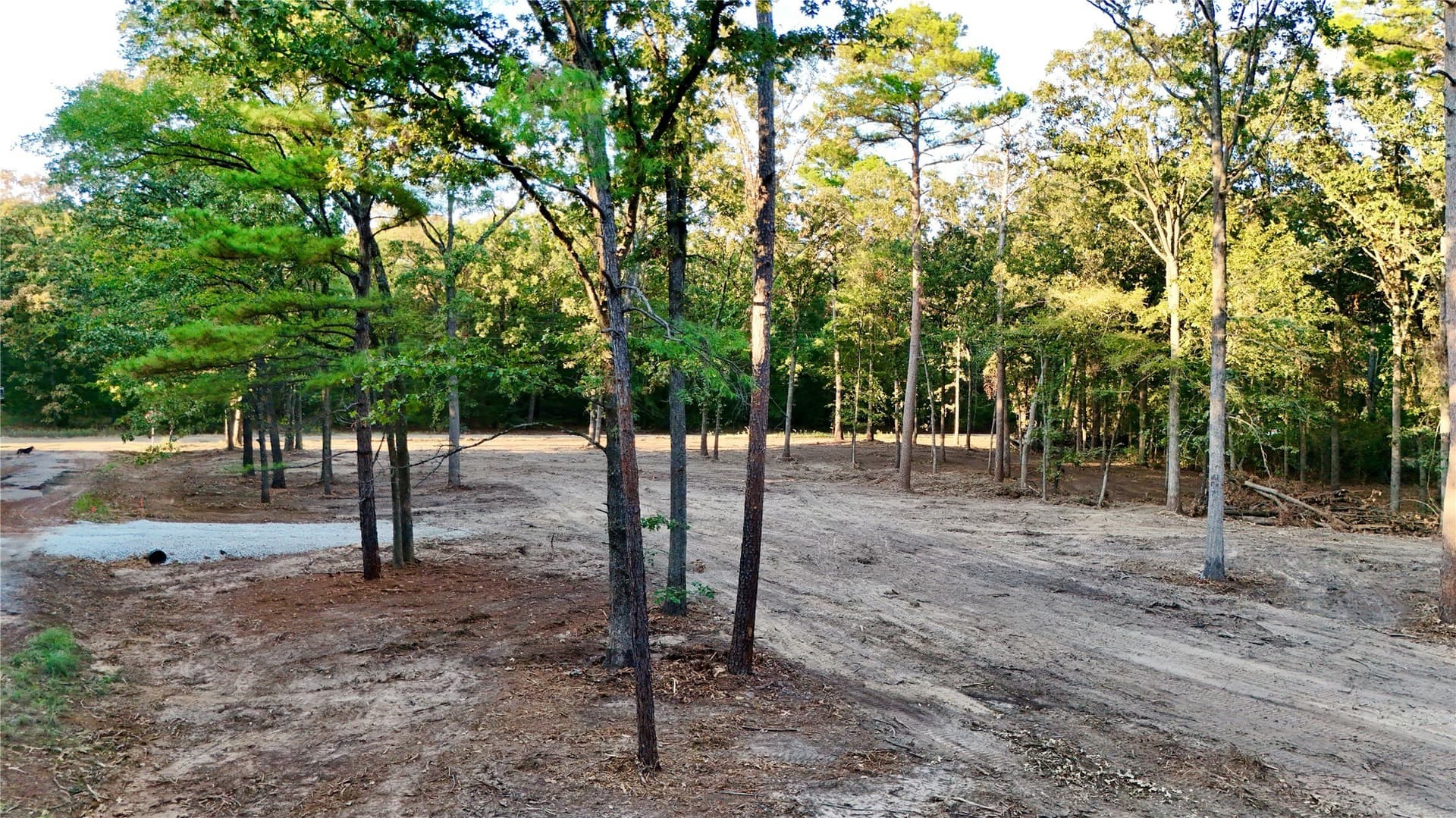 0.5 acres in Franklin (TX) County - photo 5
