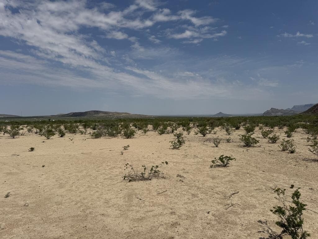 10 acres in Brewster County - photo 7