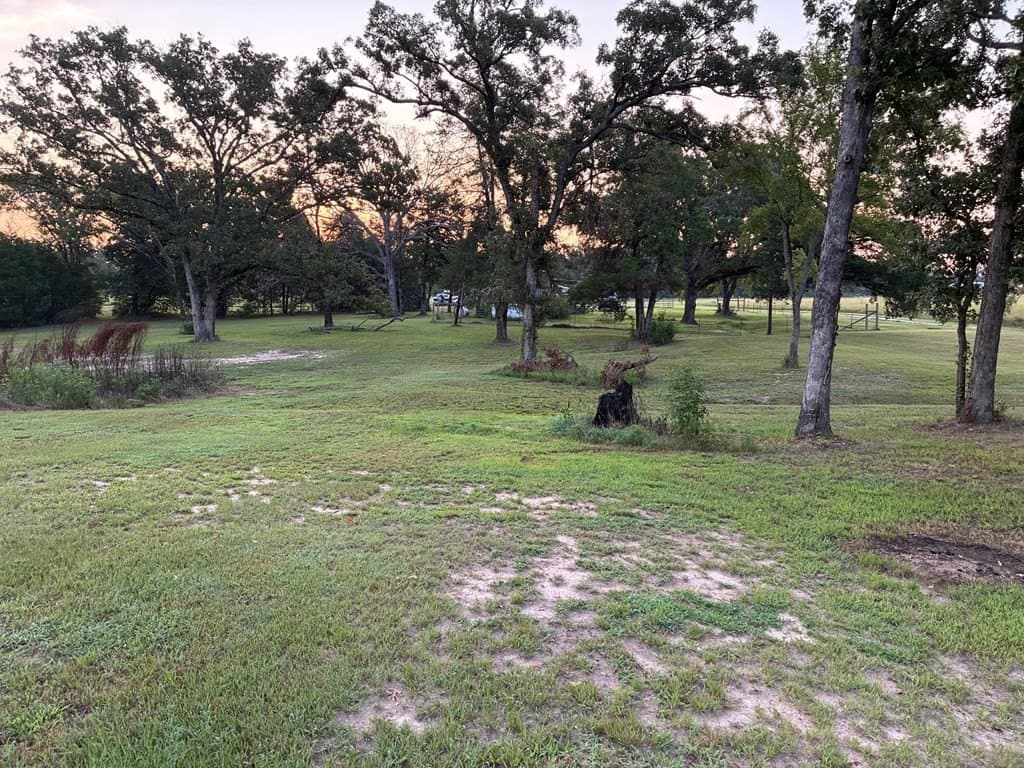 21.2 acres in Van Zandt County - photo 12