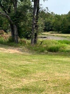 21.2 acres in Van Zandt County - photo 14