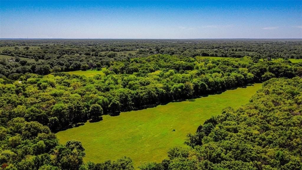 73.56 acres in Henderson County gallery image 4