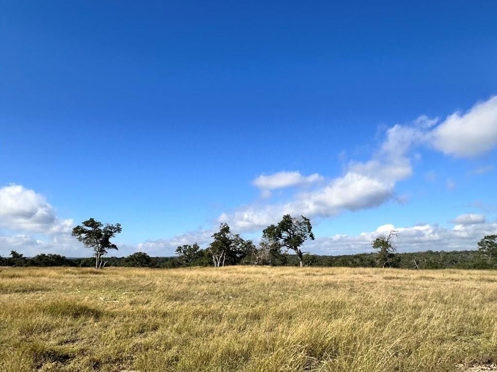 3.01 acres in Gillespie County gallery image 4