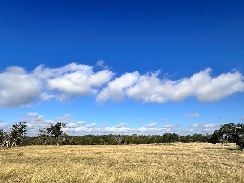 3.01 acres in Gillespie County - photo 6