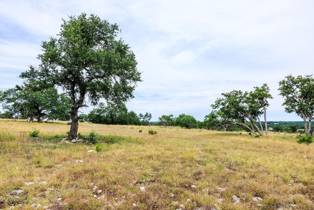 3.01 acres in Gillespie County - photo 14