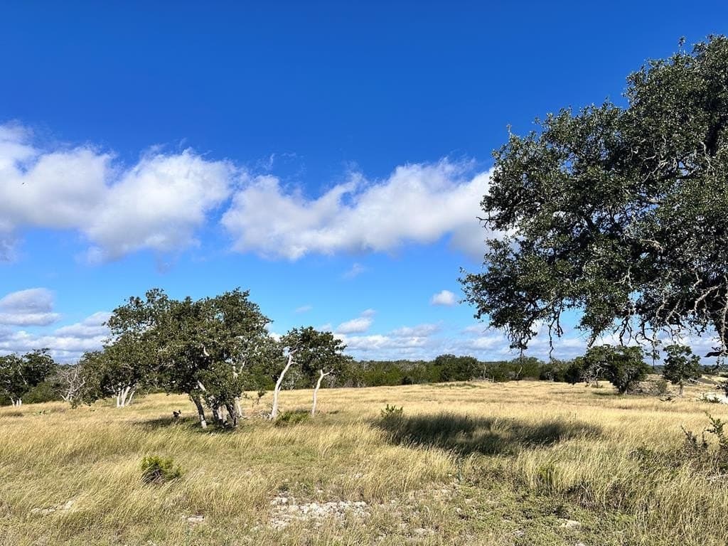3.01 acres in Gillespie County featured view
