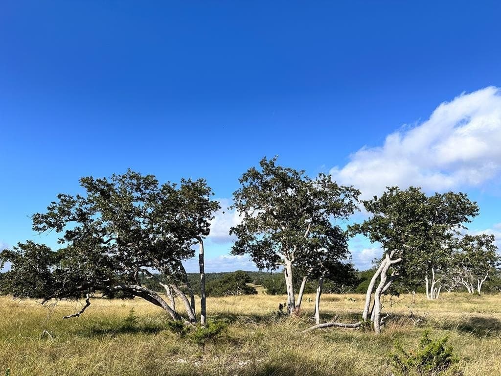3.01 acres in Gillespie County