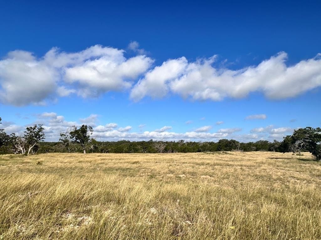 3.01 acres in Gillespie County - photo 7