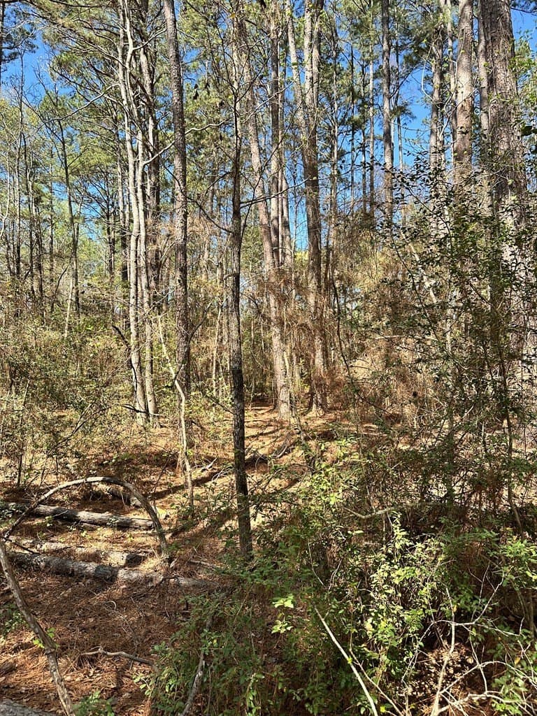 5.3 acres in ANDERSON County featured view