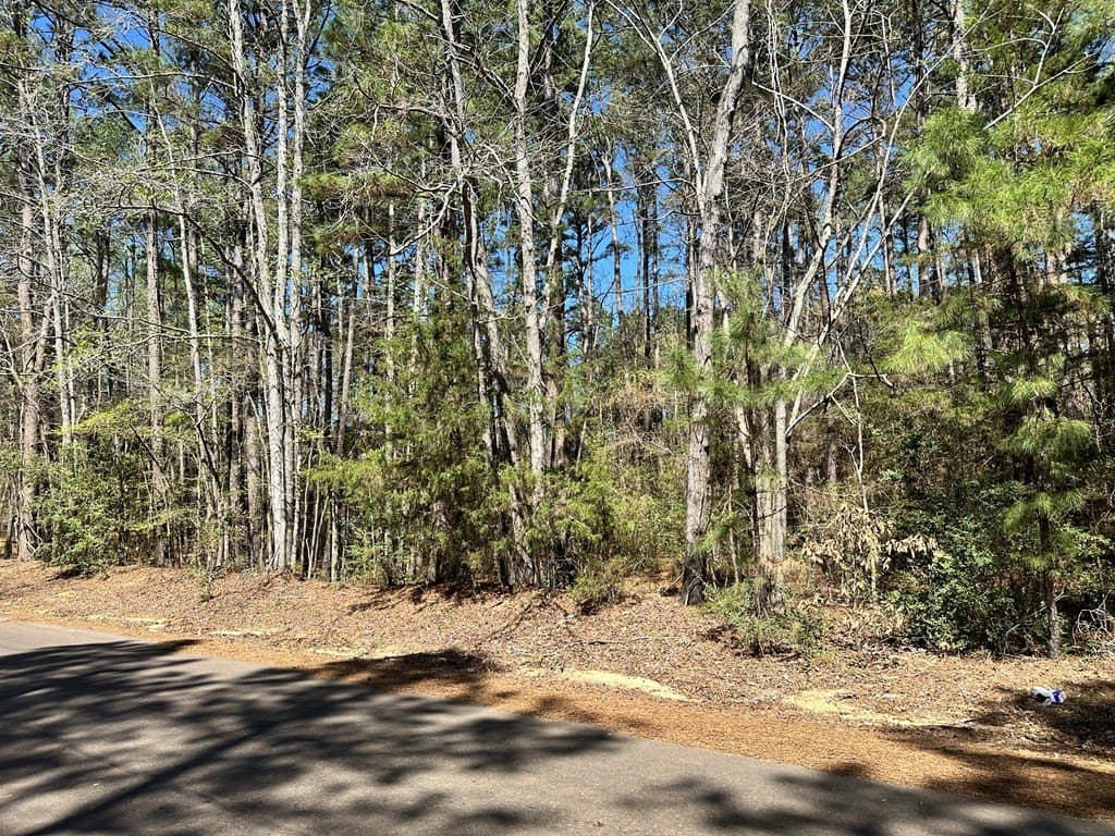 5.3 acres in ANDERSON County gallery image 3