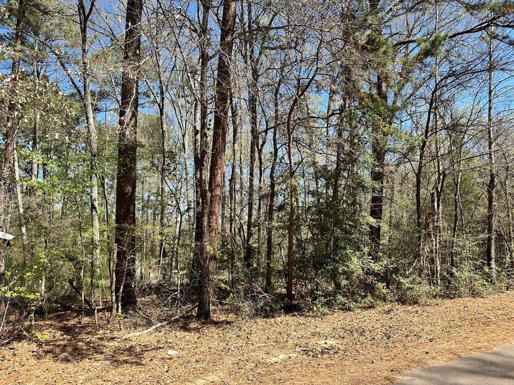 5.3 acres in ANDERSON County gallery image 2