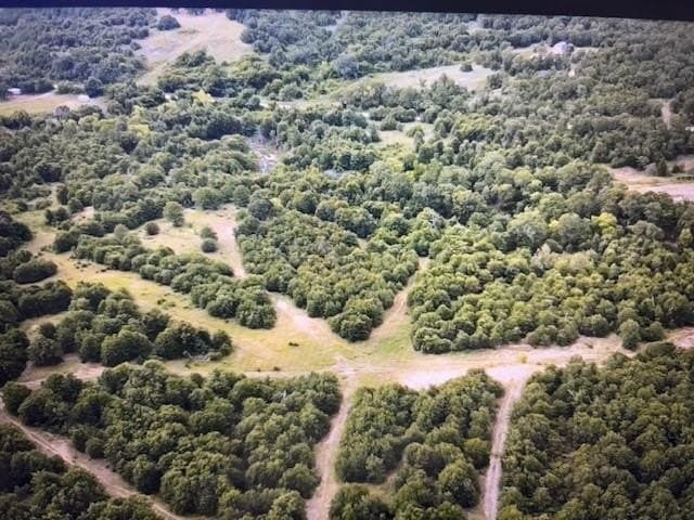 29.25 acres in Montague County featured view