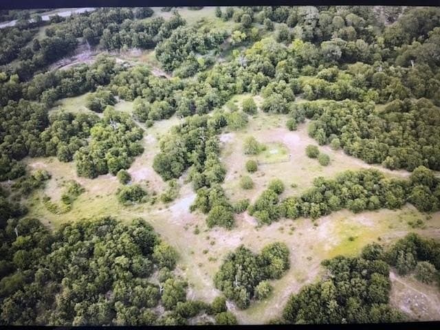 29.25 acres in Montague County gallery image 4