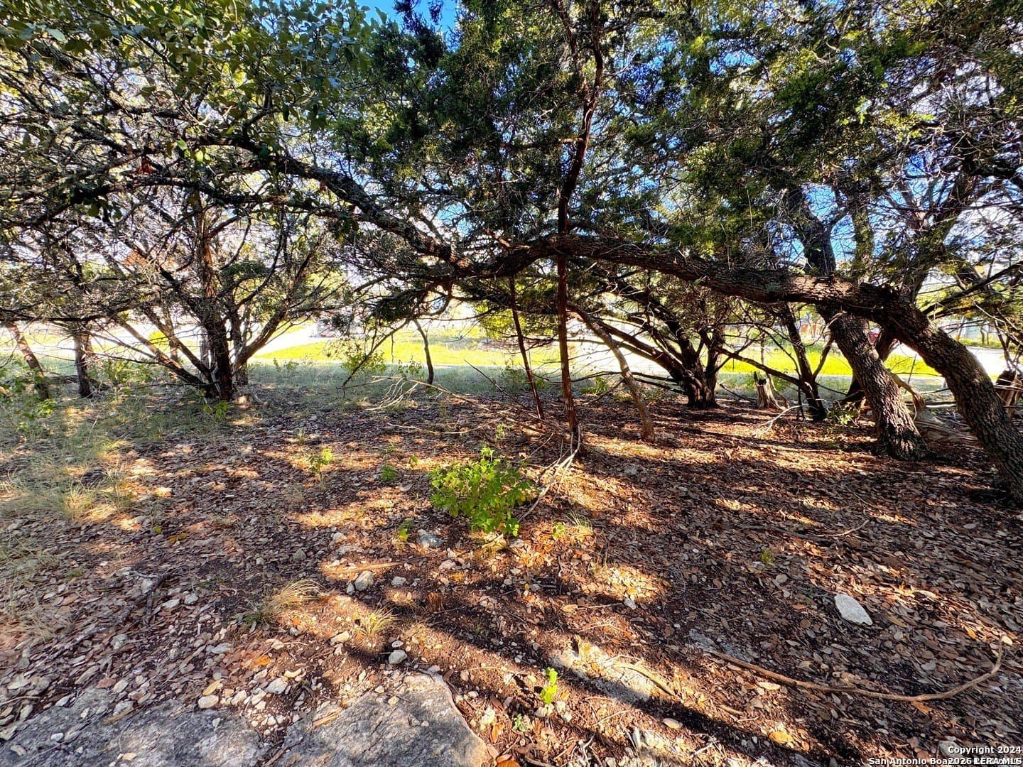 0.21 acres in Comal County gallery image 4