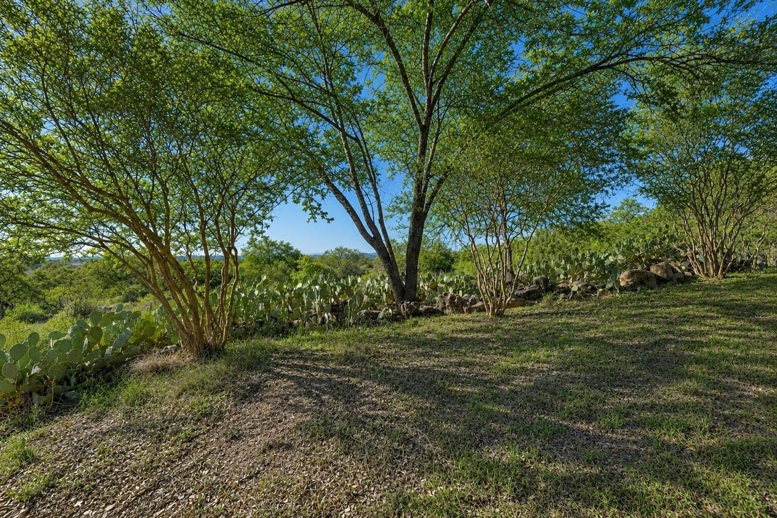 10.91 acres in Burnet County - photo 38