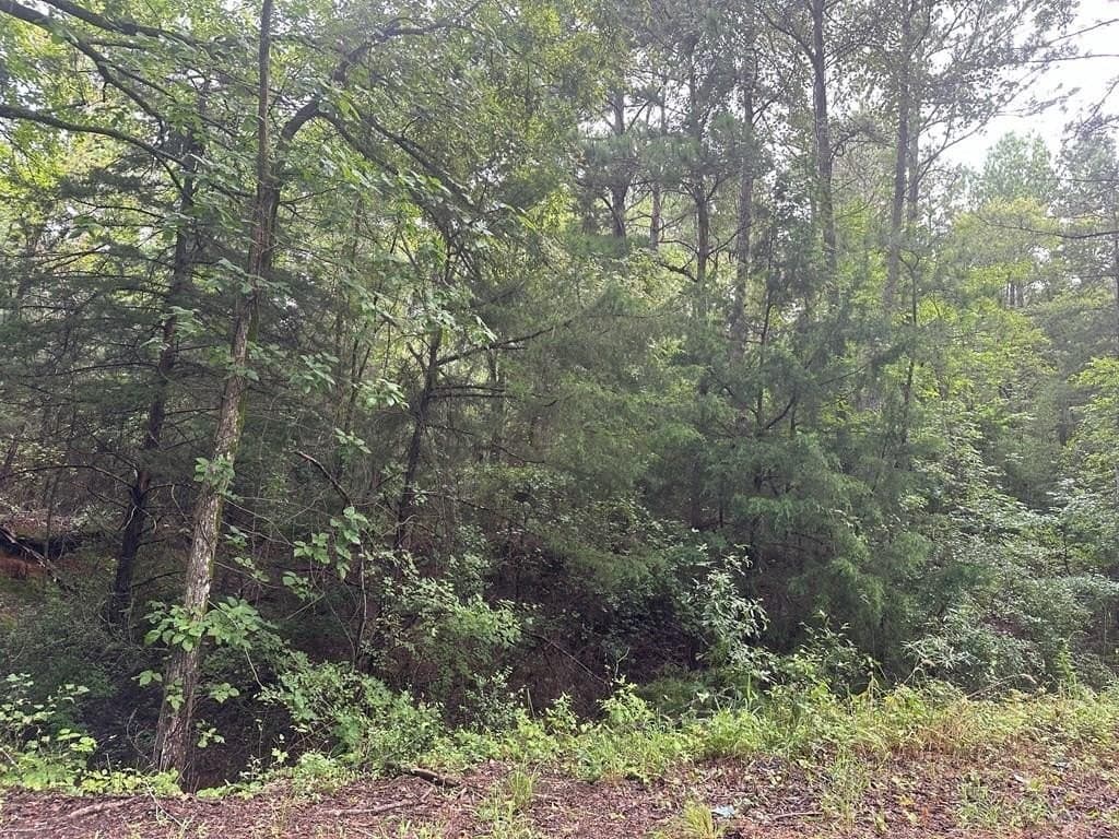 10.08 acres in Henderson County featured view