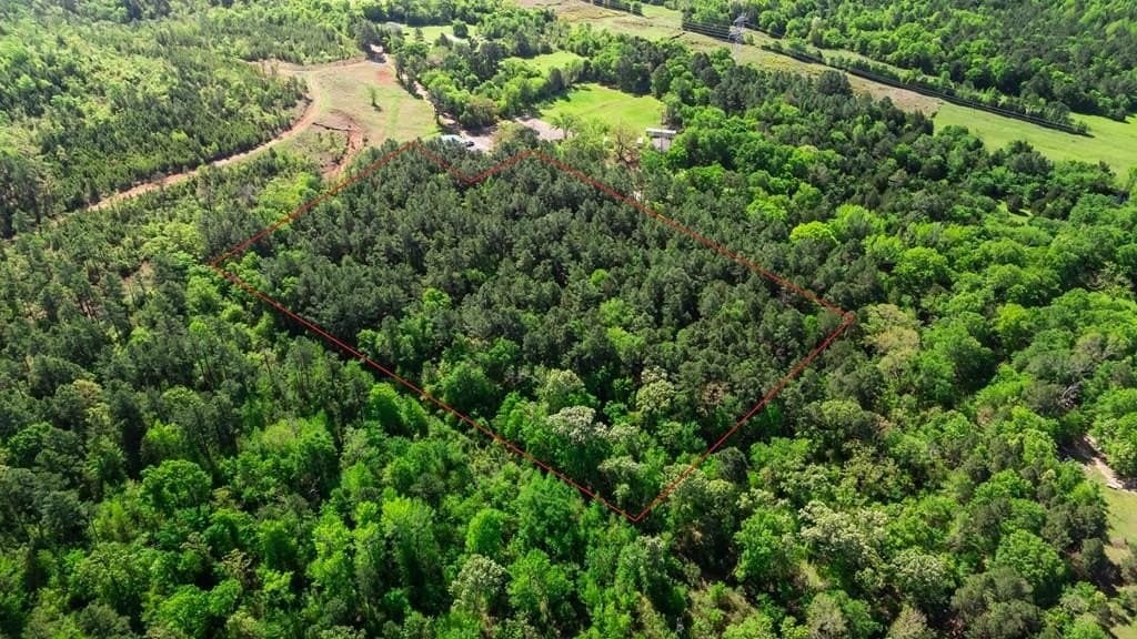 10.08 acres in Henderson County gallery image 4