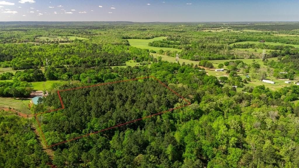 10.08 acres in Henderson County gallery image 3