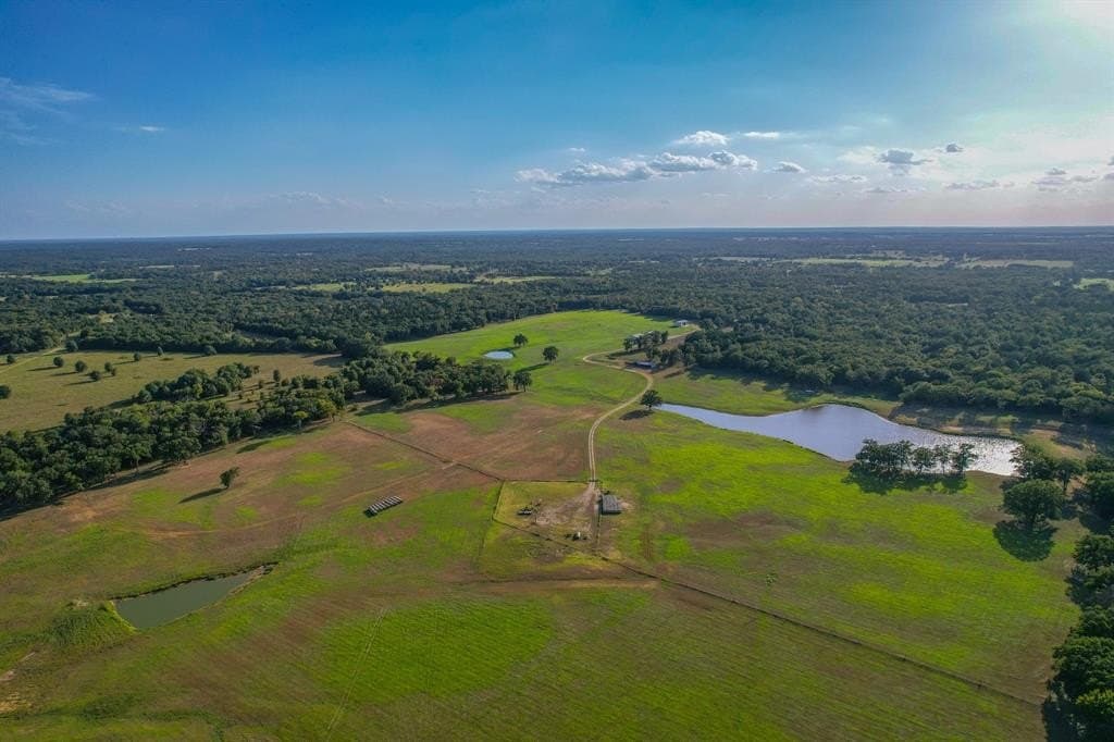 70 acres in Freestone County gallery image 4