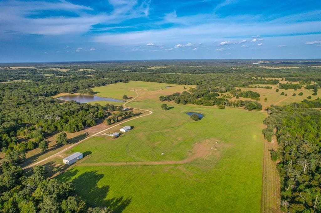 70 acres in Freestone County gallery image 3