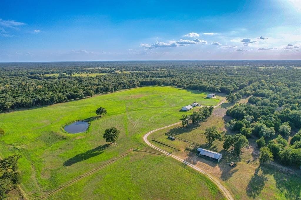 70 acres in Freestone County gallery image 2