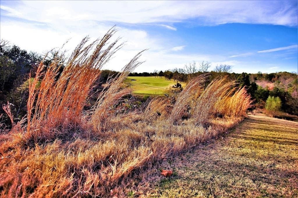 0.28 acres in Grayson County featured view