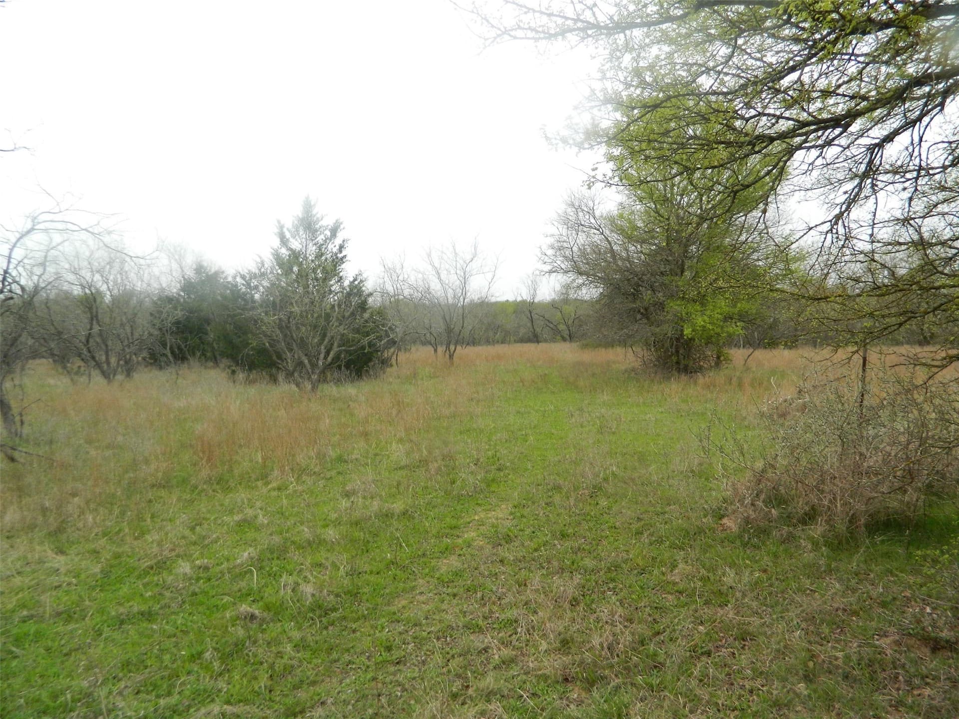 80.72 acres in Freestone County - photo 16
