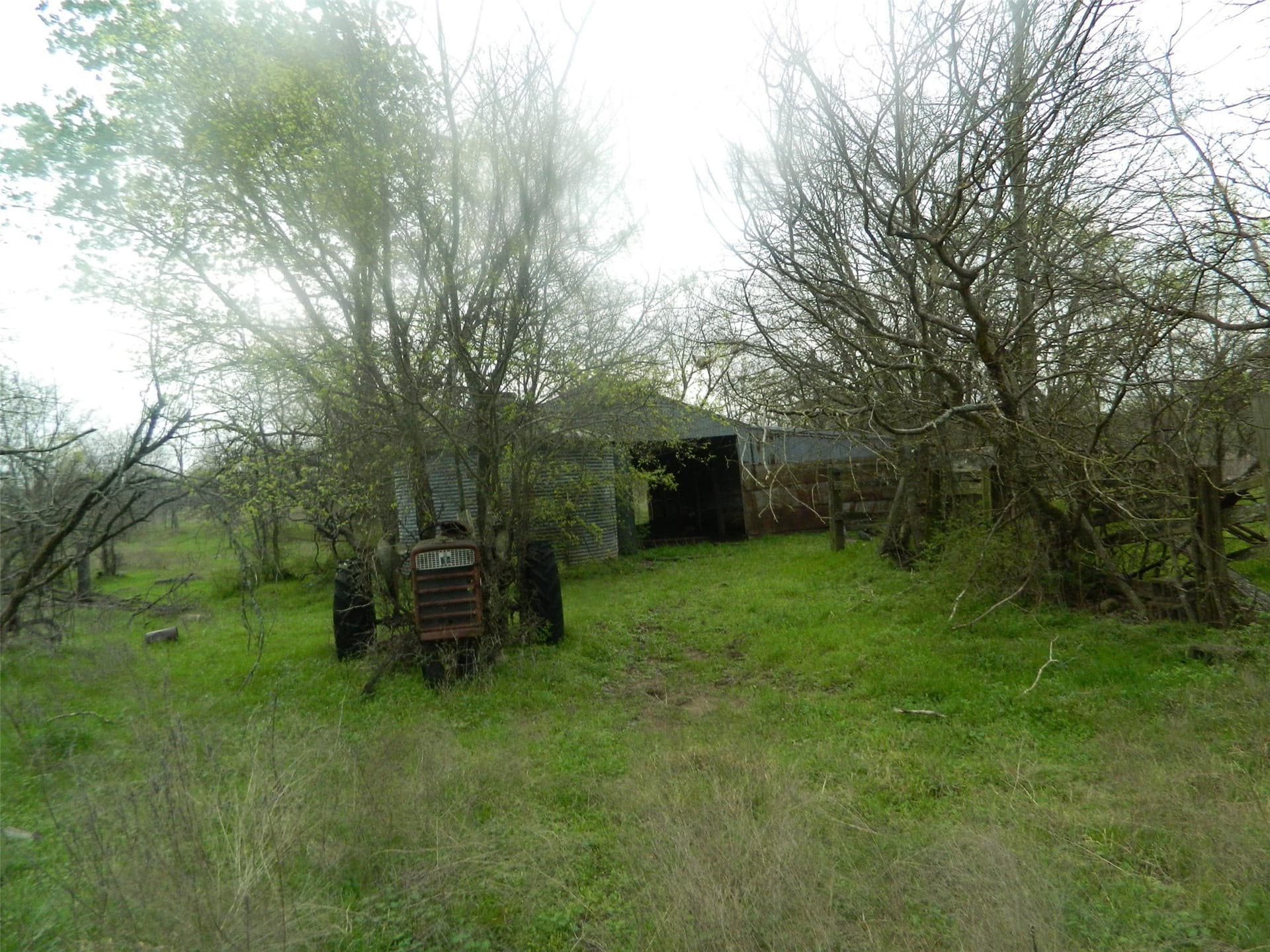 80.72 acres in Freestone County - photo 12
