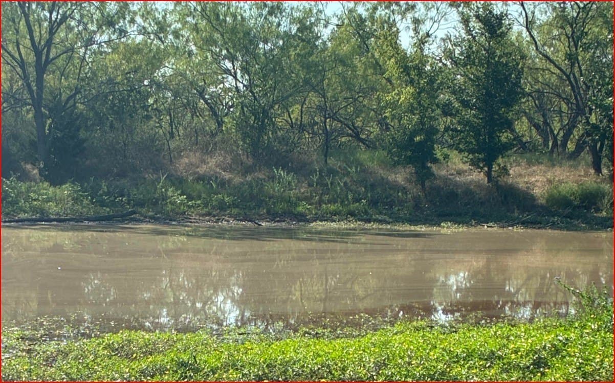 80.72 acres in Freestone County - photo 5
