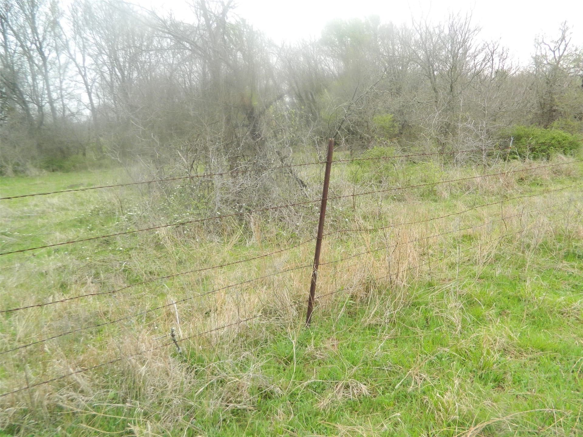 80.72 acres in Freestone County - photo 14