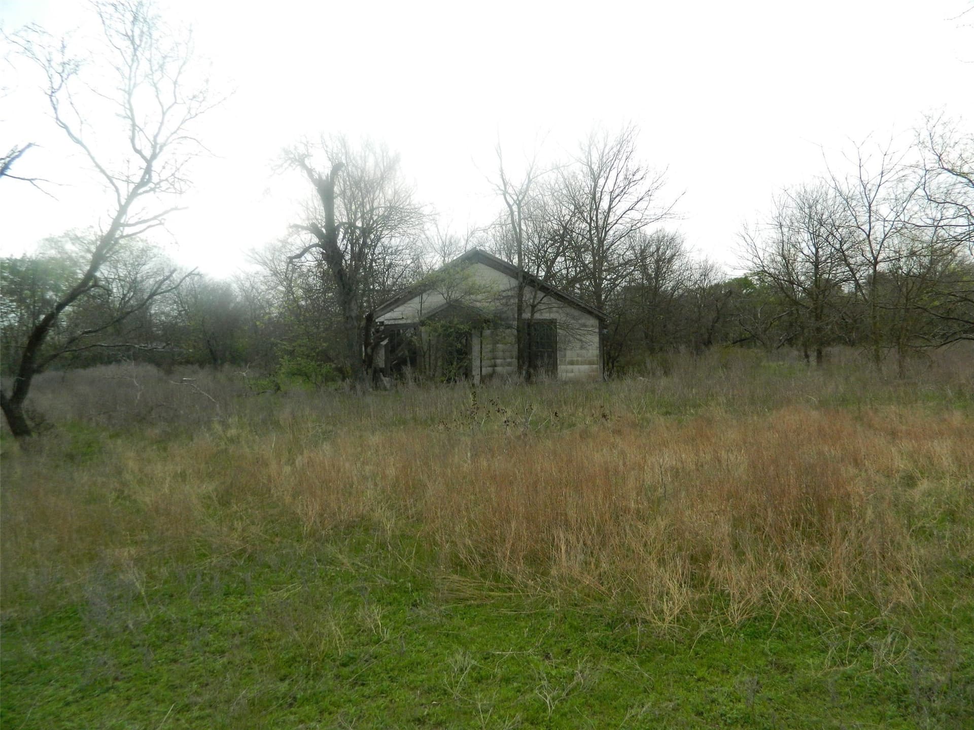 80.72 acres in Freestone County - photo 11