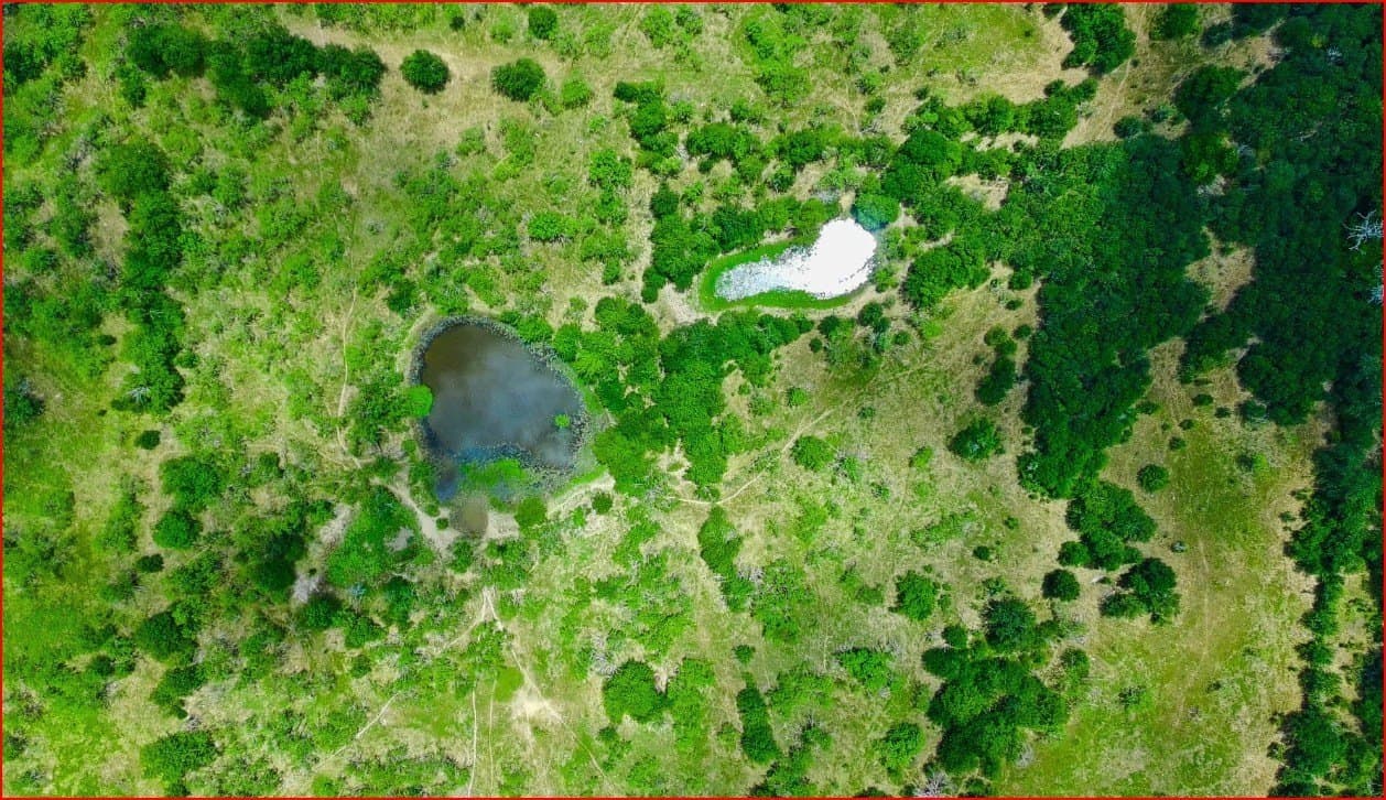 80.72 acres in Freestone County - photo 2