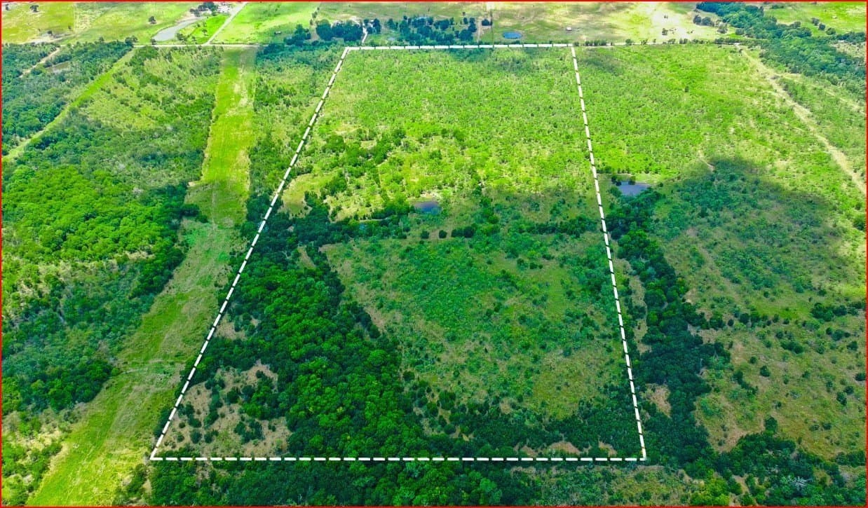 80.72 acres in Freestone County - photo 4