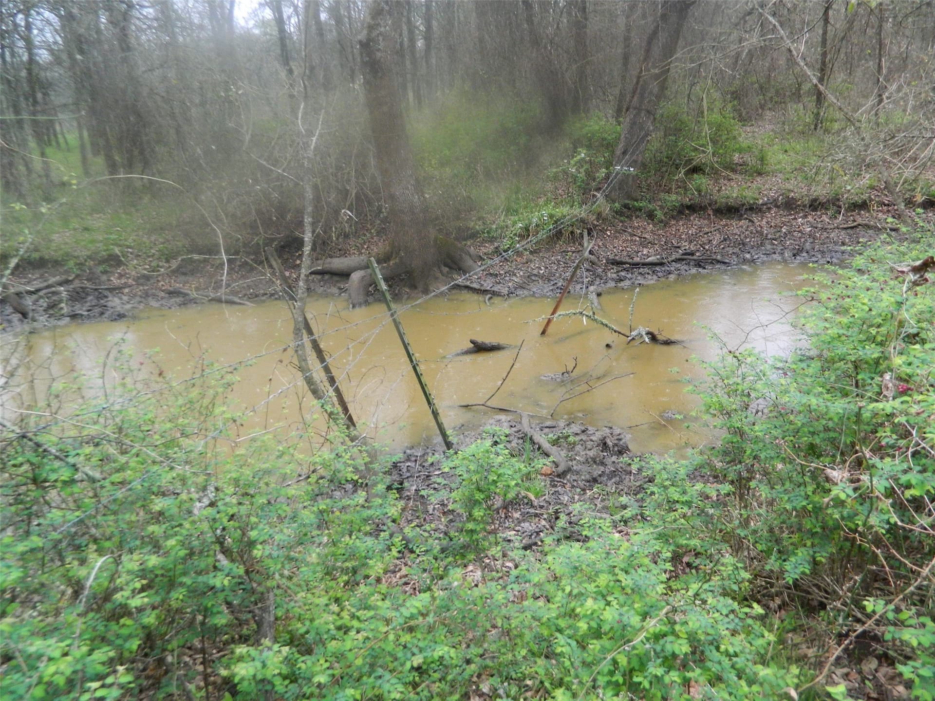80.72 acres in Freestone County - photo 6